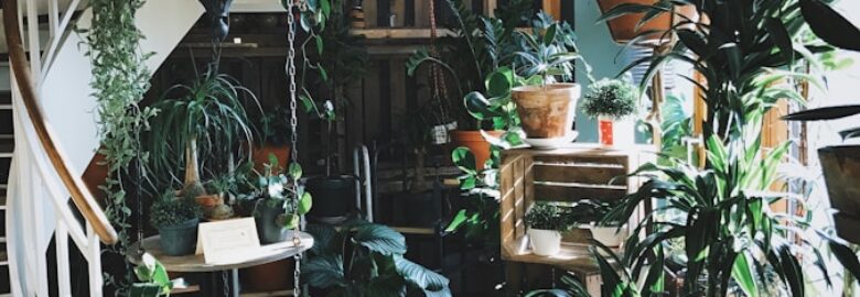 Aadvak furniture solutions: Furniture Shop In Reiger Park, Boksburg