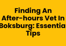 Finding an After-Hours Vet in Boksburg: Essential Tips