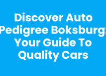 Discover Auto Pedigree Boksburg: Your Guide to Quality Cars