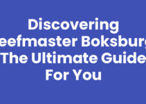 Discovering Beefmaster Boksburg: The Ultimate Guide for You