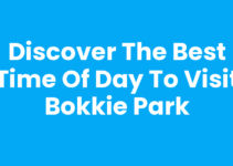 Discover the Best Time of Day to Visit Bokkie Park