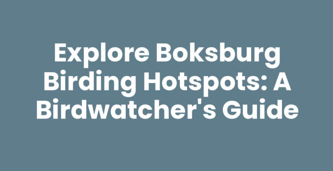Explore Boksburg Birding Hotspots: A Birdwatcher’s Guide