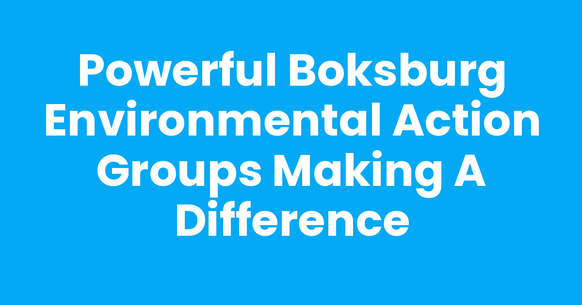 Powerful Boksburg Environmental Action Groups Making a Difference