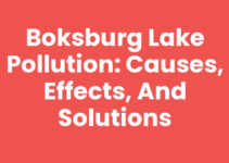 Boksburg Lake Pollution: Causes, Effects, and Solutions