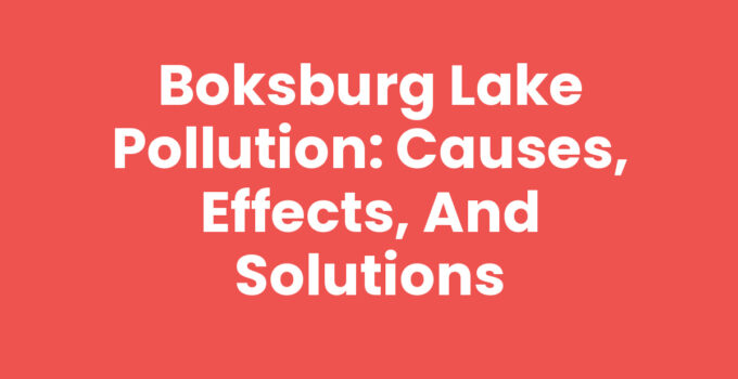 Boksburg Lake Pollution: Causes, Effects, and Solutions