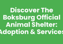 Discover the Boksburg Official Animal Shelter: Adoption & Services