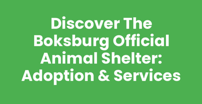 Discover the Boksburg Official Animal Shelter: Adoption & Services