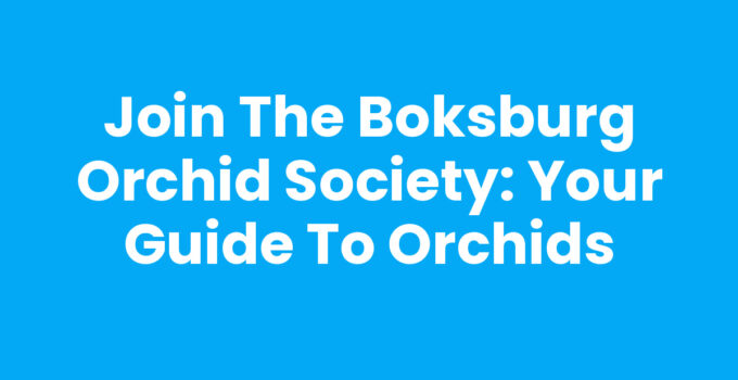Join the Boksburg Orchid Society: Your Guide to Orchids