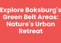 Explore Boksburg’s Green Belt Areas: Nature’s Urban Retreat