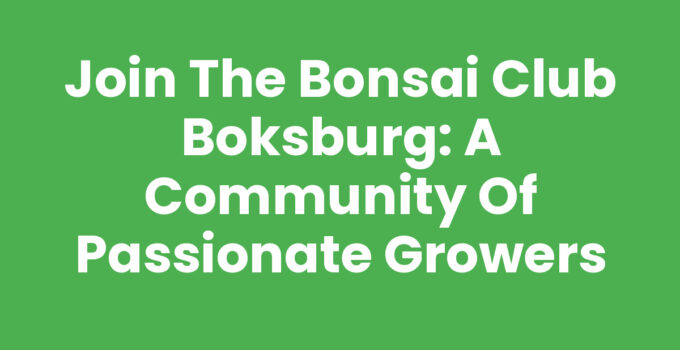 Join the Bonsai Club Boksburg: A Community of Passionate Growers