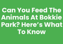 Can You Feed the Animals at Bokkie Park? Here’s What to Know