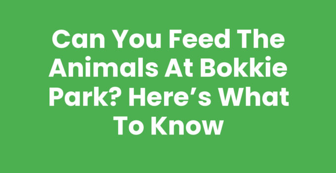 Can You Feed the Animals at Bokkie Park? Here’s What to Know