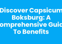 Discover Capsicum Boksburg: A Comprehensive Guide to Benefits