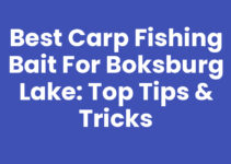 Best Carp Fishing Bait for Boksburg Lake: Top Tips & Tricks
