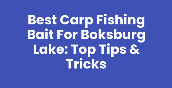 Best Carp Fishing Bait for Boksburg Lake: Top Tips & Tricks
