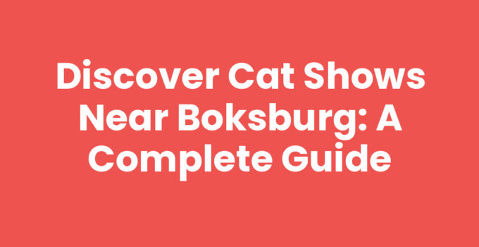 Discover Cat Shows Near Boksburg: A Complete Guide