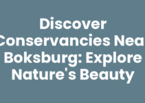 Discover Conservancies Near Boksburg: Explore Nature’s Beauty