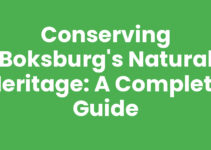 Conserving Boksburg’s Natural Heritage: A Complete Guide