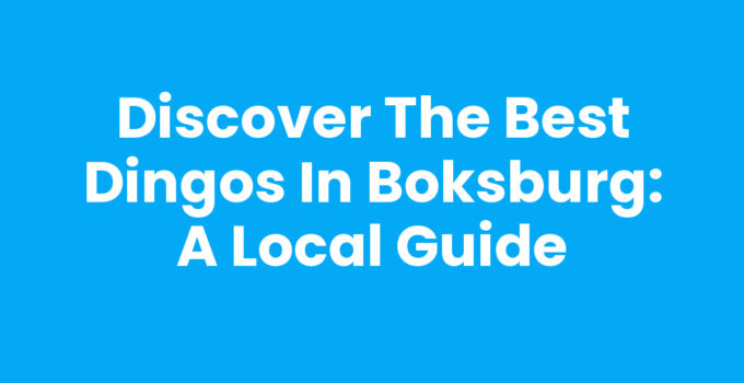 Discover the Best Dingos in Boksburg: A Local Guide