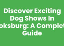Discover Exciting Dog Shows in Boksburg: A Complete Guide