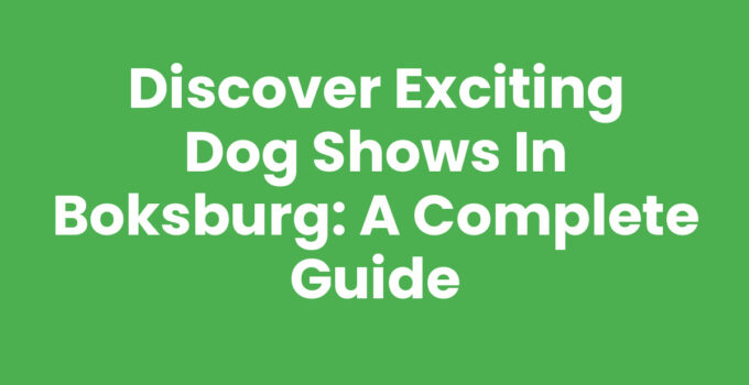Discover Exciting Dog Shows in Boksburg: A Complete Guide