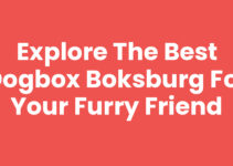 Explore the Best Dogbox Boksburg for Your Furry Friend