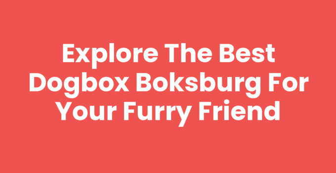 Explore the Best Dogbox Boksburg for Your Furry Friend