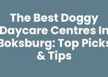 The Best Doggy Daycare Centres in Boksburg: Top Picks & Tips