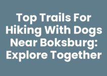 Top Trails for Hiking with Dogs Near Boksburg: Explore Together