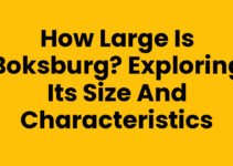 How Large is Boksburg? Exploring Its Size and Characteristics