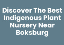 Discover the Best Indigenous Plant Nursery Near Boksburg