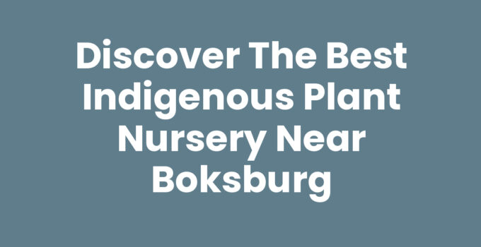 Discover the Best Indigenous Plant Nursery Near Boksburg