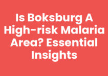Is Boksburg a High-Risk Malaria Area? Essential Insights