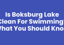 Is Boksburg Lake Clean for Swimming? What You Should Know