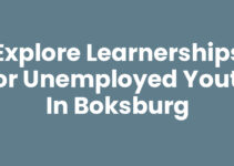 Explore Learnerships for Unemployed Youth in Boksburg