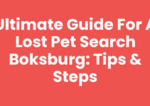 Ultimate Guide for a Lost Pet Search Boksburg: Tips & Steps