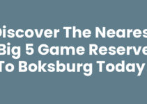 Discover the Nearest Big 5 Game Reserve to Boksburg Today!