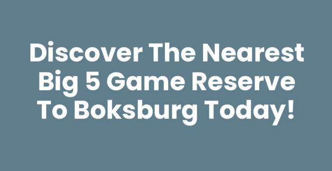 Discover the Nearest Big 5 Game Reserve to Boksburg Today!
