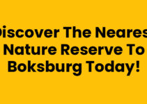 Discover the Nearest Nature Reserve to Boksburg Today!
