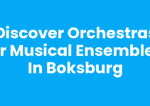 Discover Orchestras or Musical Ensembles in Boksburg