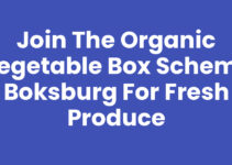 Join the Organic Vegetable Box Scheme Boksburg for Fresh Produce