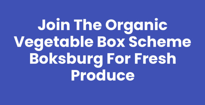 Join the Organic Vegetable Box Scheme Boksburg for Fresh Produce