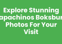 Explore Stunning Papachinos Boksburg Photos for Your Visit