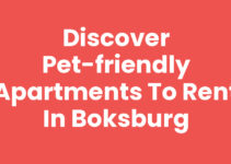 Discover Pet-Friendly Apartments to Rent in Boksburg