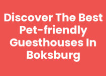 Discover the Best Pet-Friendly Guesthouses in Boksburg
