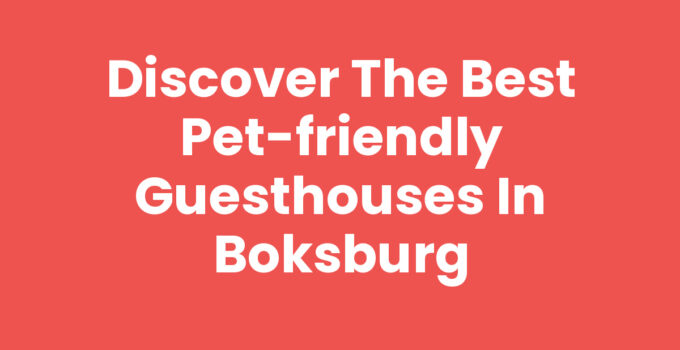 Discover the Best Pet-Friendly Guesthouses in Boksburg