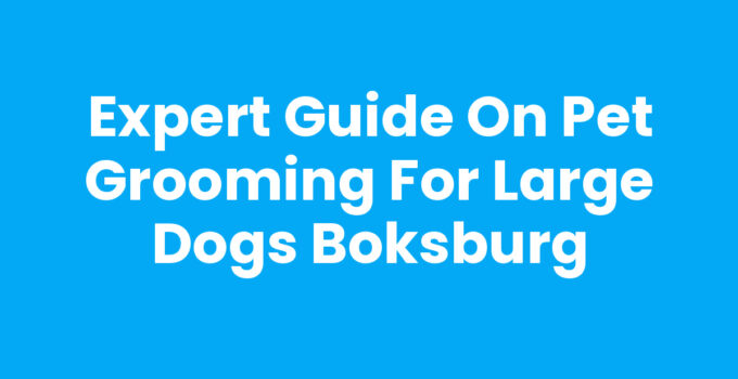 Expert Guide on Pet Grooming for Large Dogs Boksburg