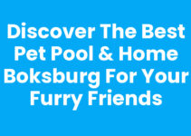 Discover the Best Pet Pool & Home Boksburg for Your Furry Friends