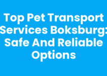 Top Pet Transport Services Boksburg: Safe and Reliable Options