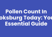 Pollen Count in Boksburg Today: Your Essential Guide